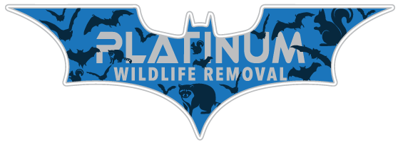 Xceptional Animal Removal